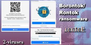 El virus Borontok/Rontok