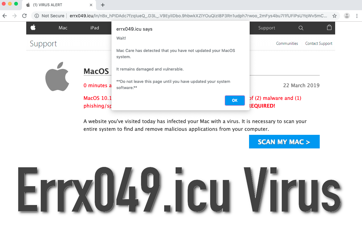 Errx049.icu Virus removal