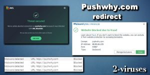 Redirect Pushwhy.com