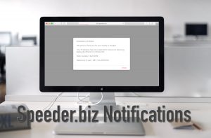 Speeder.biz Notifications