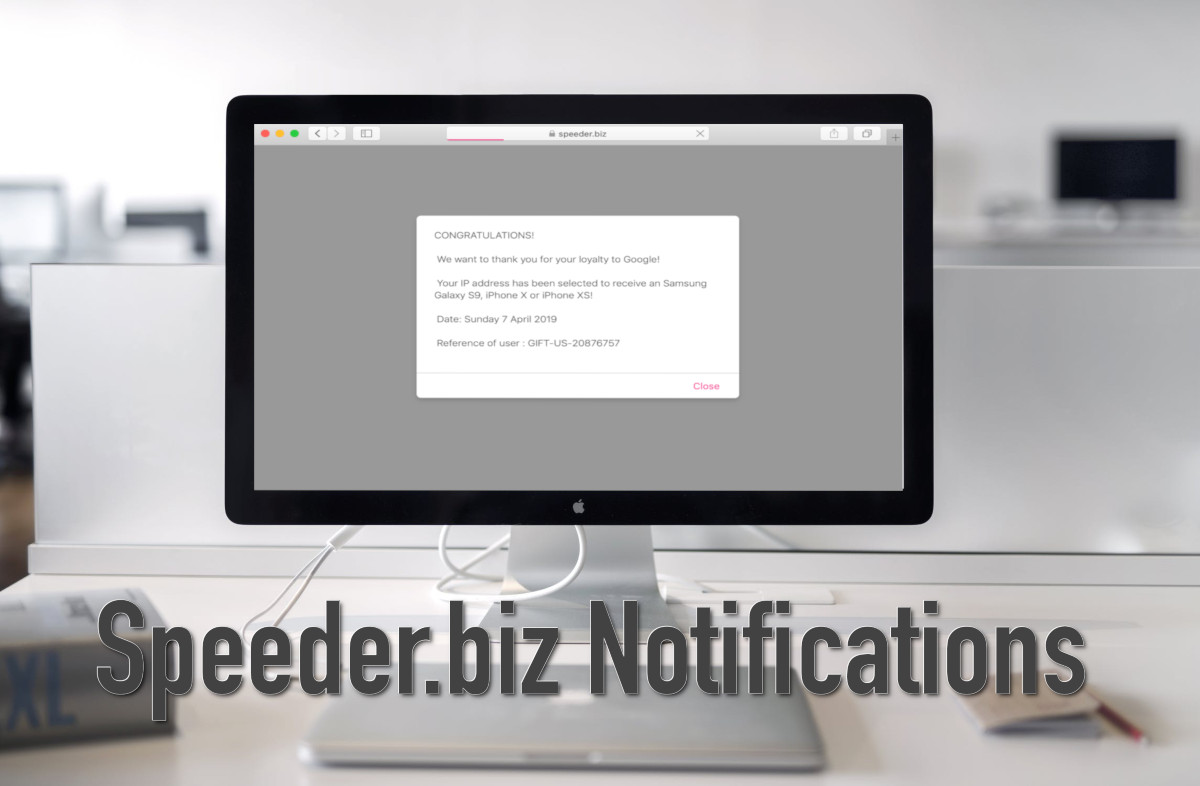 Speeder.biz Notifications remove