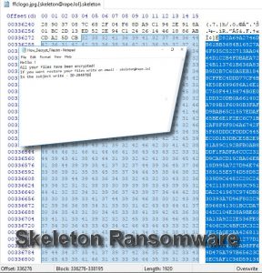 El Ransomware Skeleton