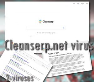 El virus Cleanserp.net