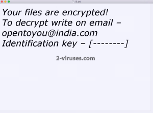 OpenToYou ransomware