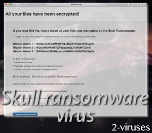 El virus Skull