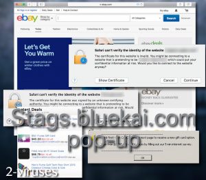 La ventana emergente de Stags.bluekai.com