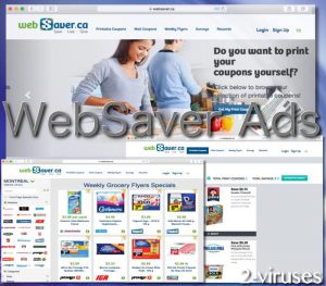 WebSaver